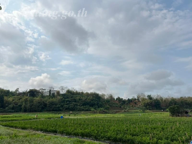 catalogs_file_644_18_12_76944.webp