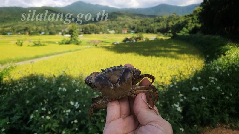 catalogs_file_644_18_12_82019.webp