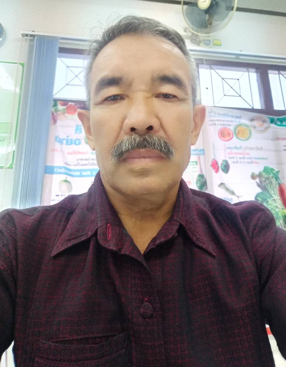 ไม่พบรูป